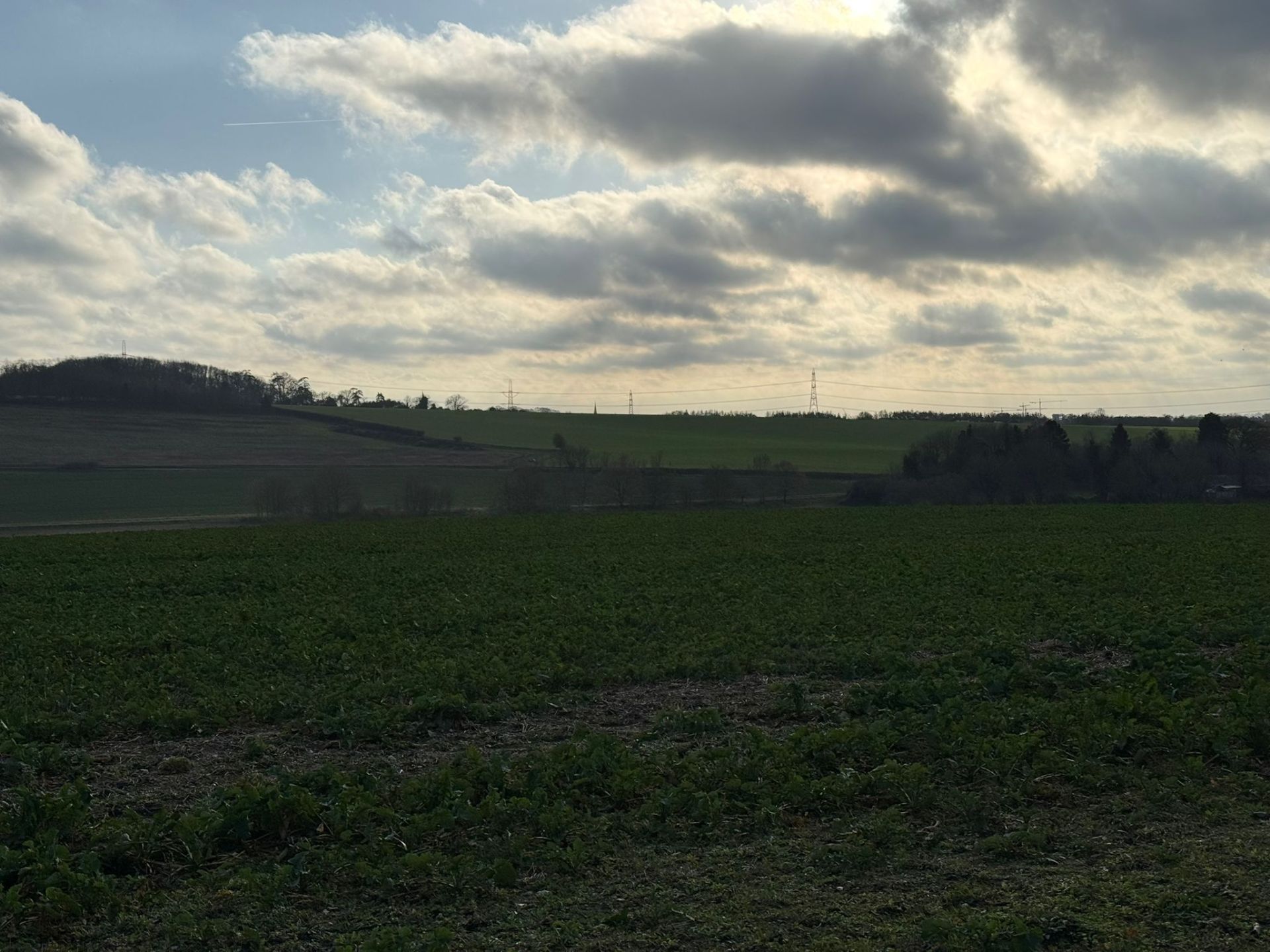 Between Weston and Graveley